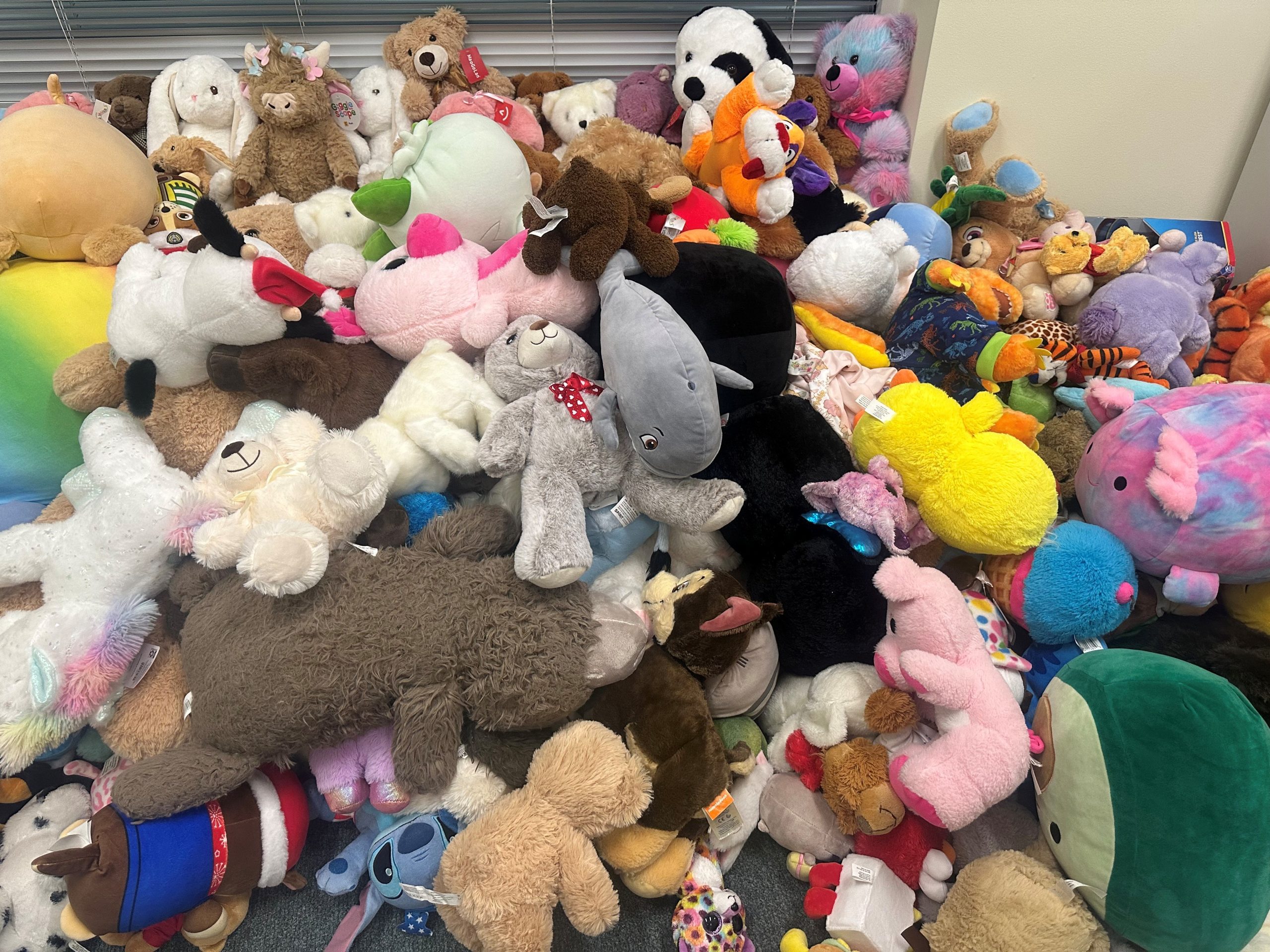 collection of stuffed animals from the Teddy Bear drive
